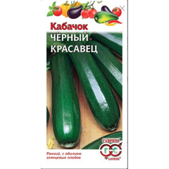 Семена "ГАВРИШ. КАБАЧОК ЧЕРНЫЙ КРАСАВЕЦ" 1,5 гр.(20)