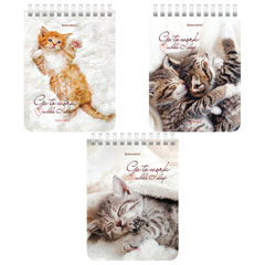 Блокнот "BRAUBERG" Милые котята гребень клетка А6 40 л спайка 6 шт.(1)