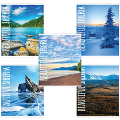 Тетрадь общая "BRAUBERG" Природа скоба А5 48 л клетка 1 шт.(10)