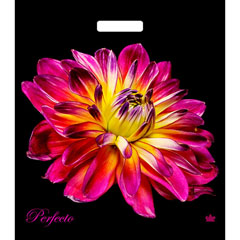 Пакет "ТИКОПЛАСТИК" вырубная ручка 420*480*0,09 перфекто герцогиня соэкструзия 1 шт /в запайке 25 шт/.(25)