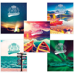 Тетрадь общая "BRAUBERG" Приключения скоба А5 96 л клетка 1 шт.(5)